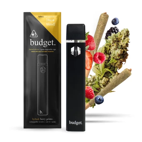 Budget Berry Gelato