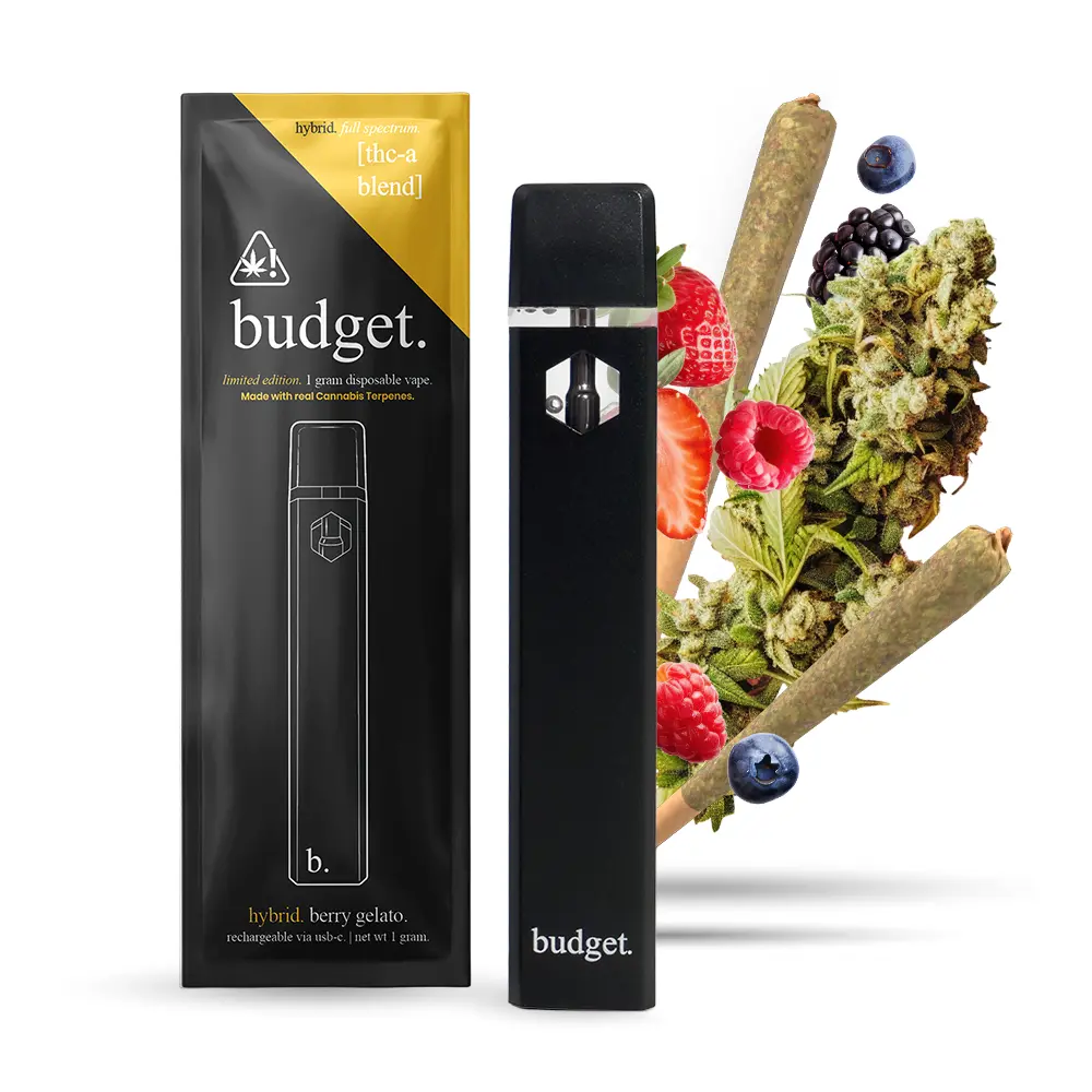 Budget Berry Gelato